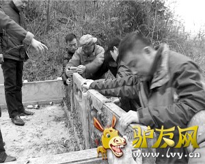 驴友.jpg