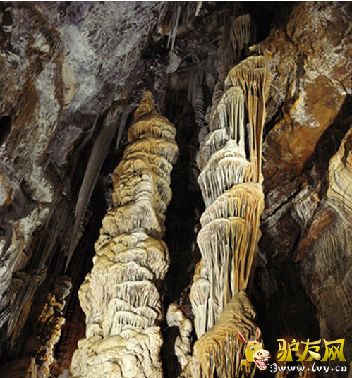QQ截图20160511150216.png