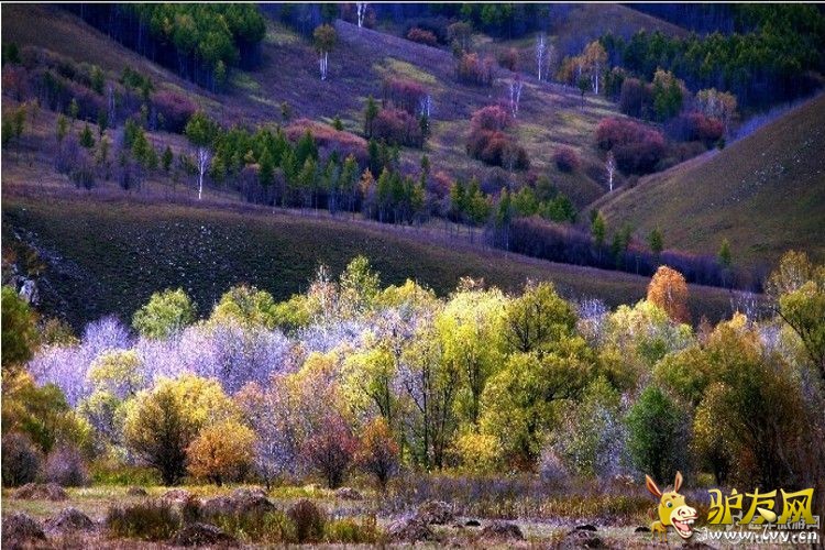 205310mr8ata5tws888thr - ����.jpg